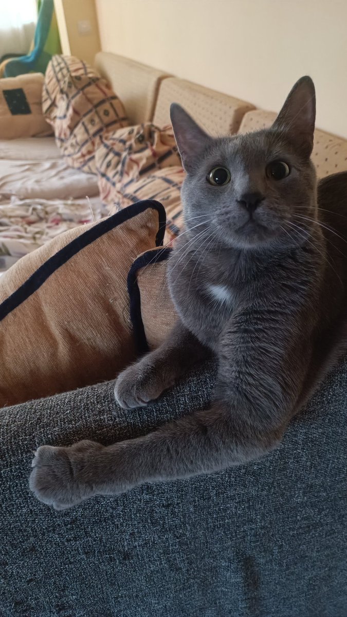 Max Donchenko 🇺🇦 tweet media