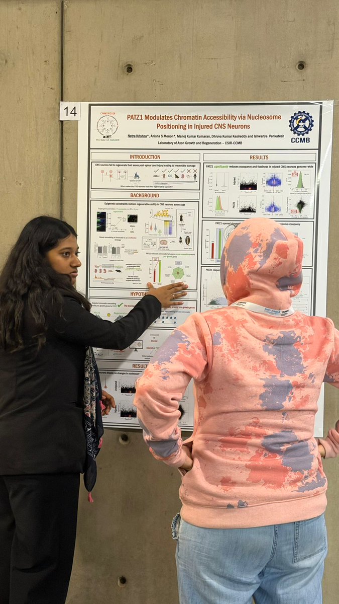 Netra Krishna tweet media