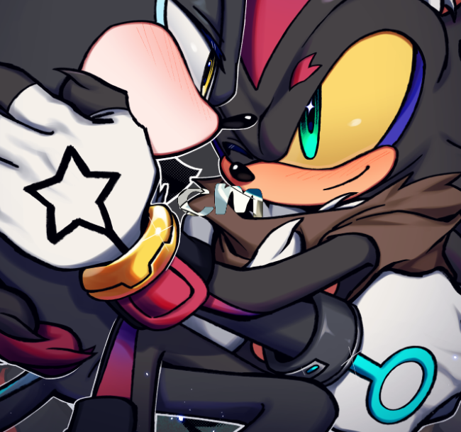 kou_sonic's tweet image. cm