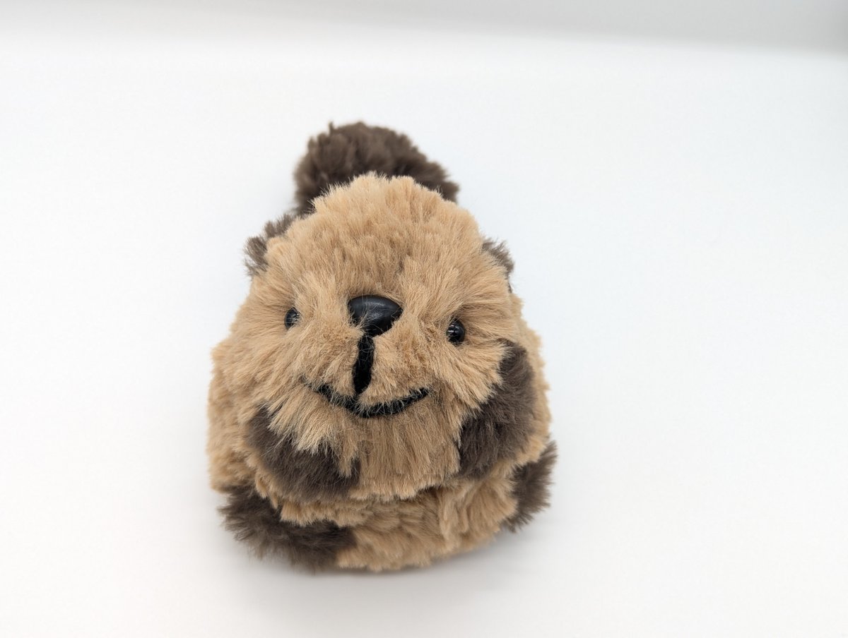 糸も、毛糸も。 tweet media