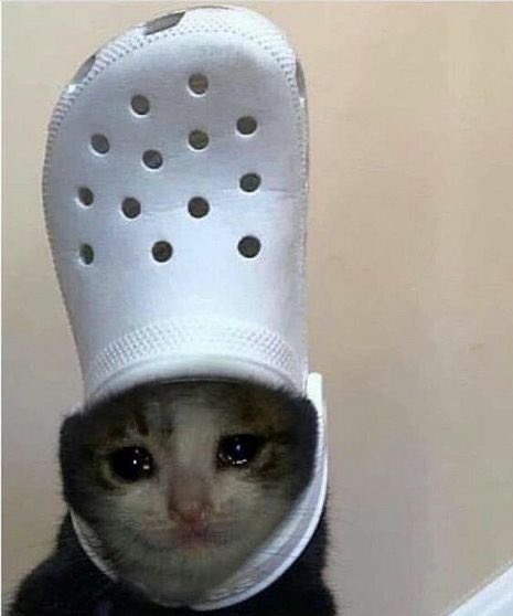 ichbindilan's tweet image. slav, yine