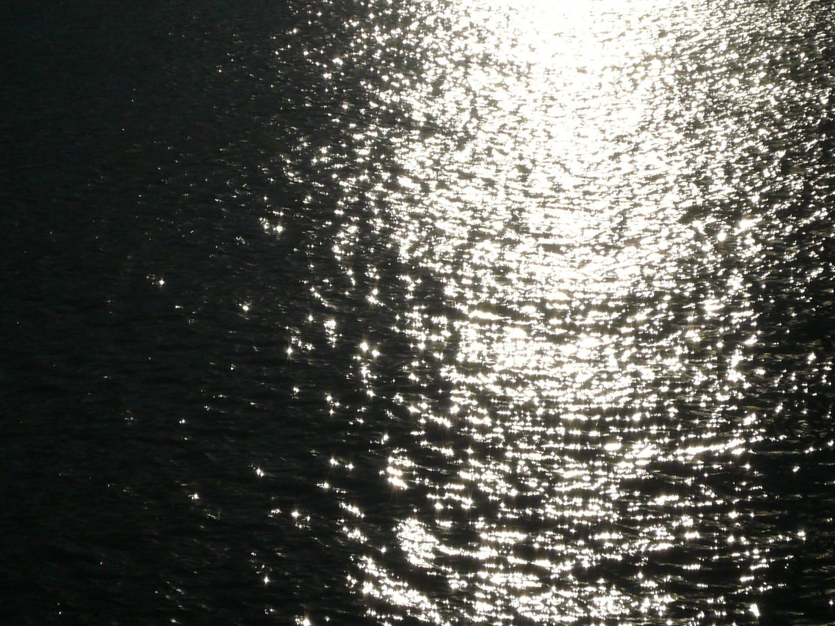 요코요코요코요코요코하마  
디카가 좋다 !! ⁼³₌₃