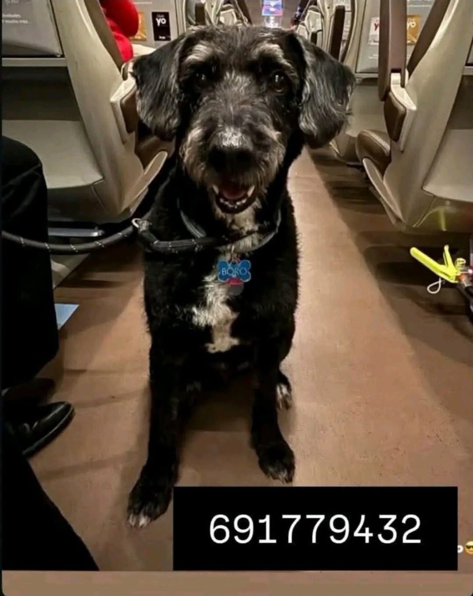 Lucia Etxebarria tweet media