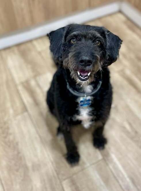 Lucia Etxebarria tweet media