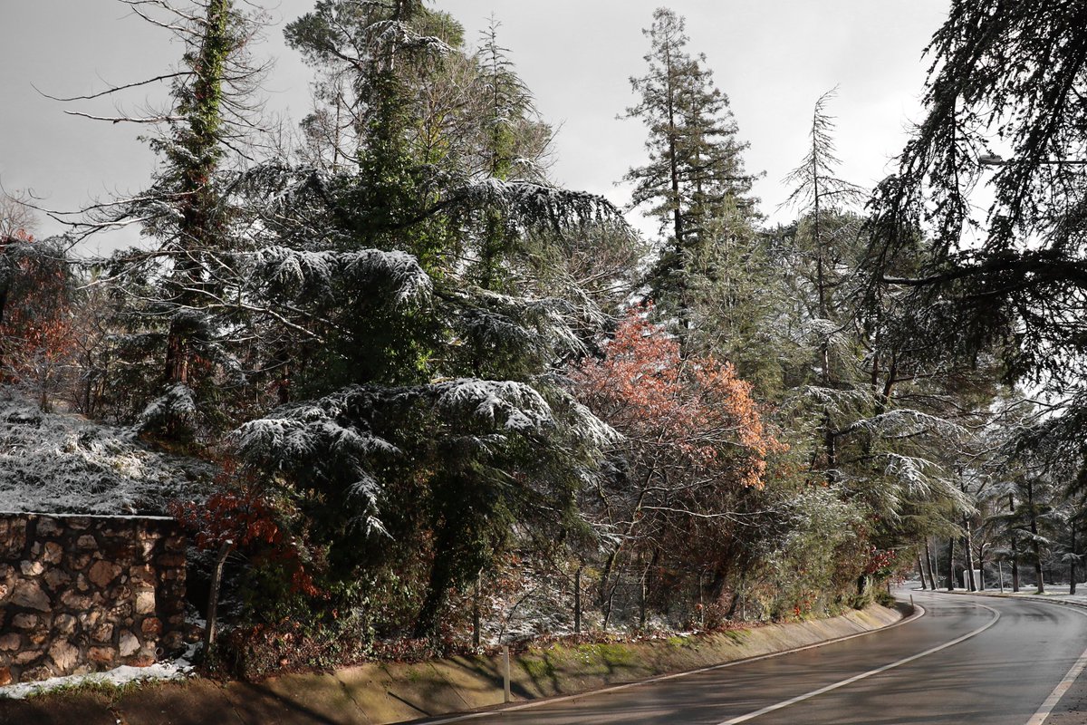 Yeni haftanın ilçemize ve tüm hemşehrilerimize hayırlar getirmesini diliyor, hayırlı haftalar temenni ediyoruz. #termal