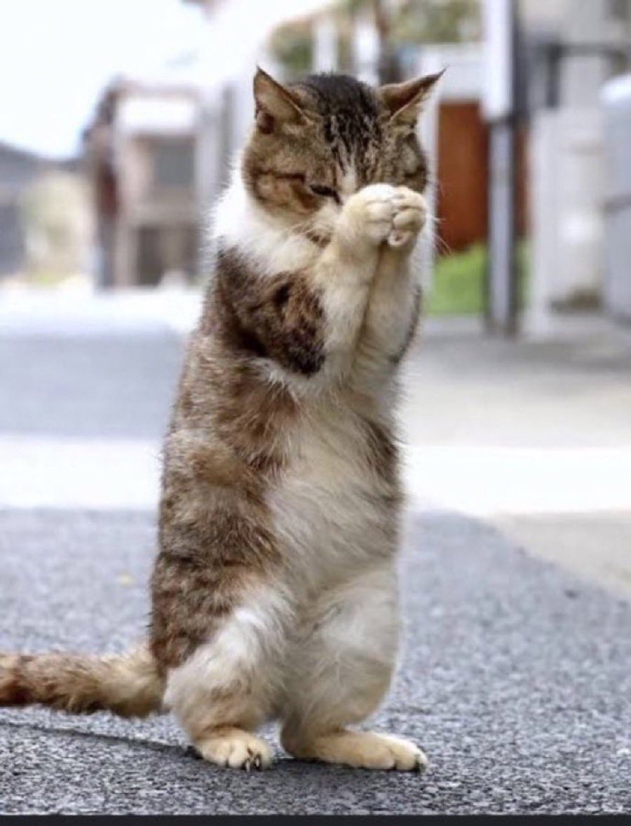 SM1651's tweet image. 裏金議員が全員落ちますように‼