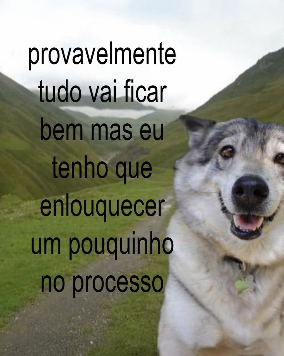 paginalixo1's tweet image. 