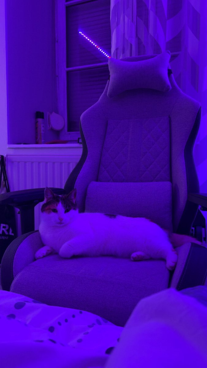 lauxksk's tweet photo. c censé être mon siège fin bref https://t.co/9ymYVgyjIi