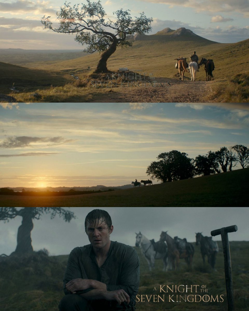 تراڤس tweet media