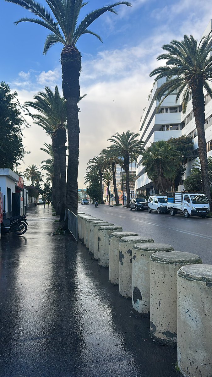 After a dramatic AFCON final last night, life is back to normal here in Casablanca 🇲🇦