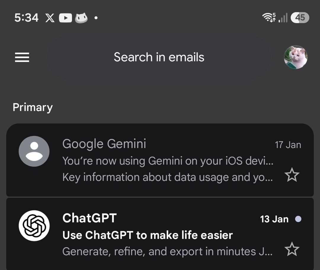 Noah Cat tweet media