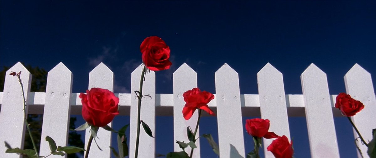 mubi's tweet image. Blue Monday.