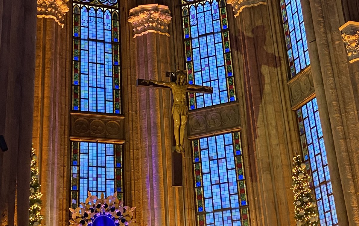 ⋆.ೃ࿔*:･✮ ⋆ ˚｡𖦹 ⋆｡°✩˚⊱🪷⊰˚