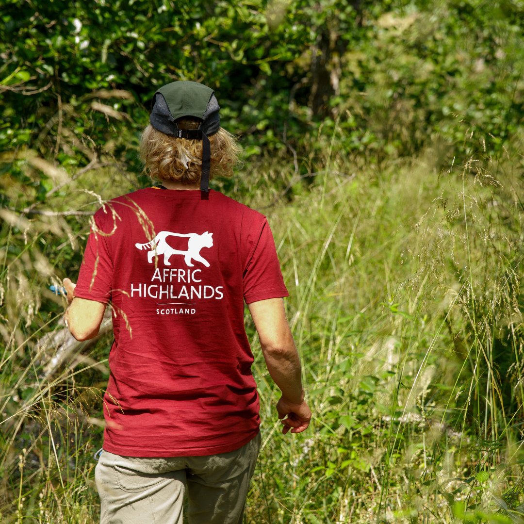 Rewilding Affric Highlands tweet media