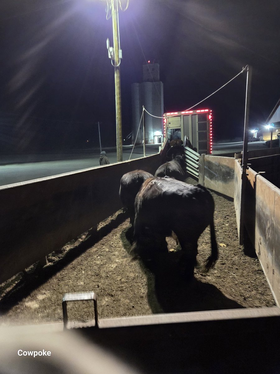 Never go through life just existing, and never question your existence,  just make everyday the best you can.  Good morning