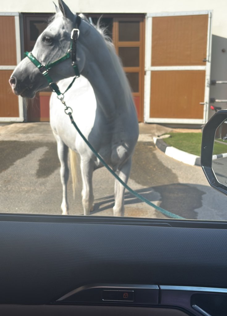 𝓡 (@rrrsbh) on Twitter photo 