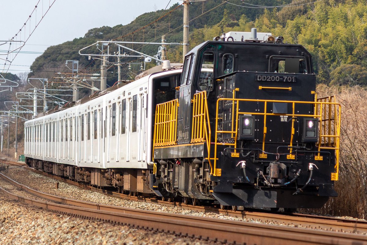 ずるっと (@zuruttozen) / Posts / X