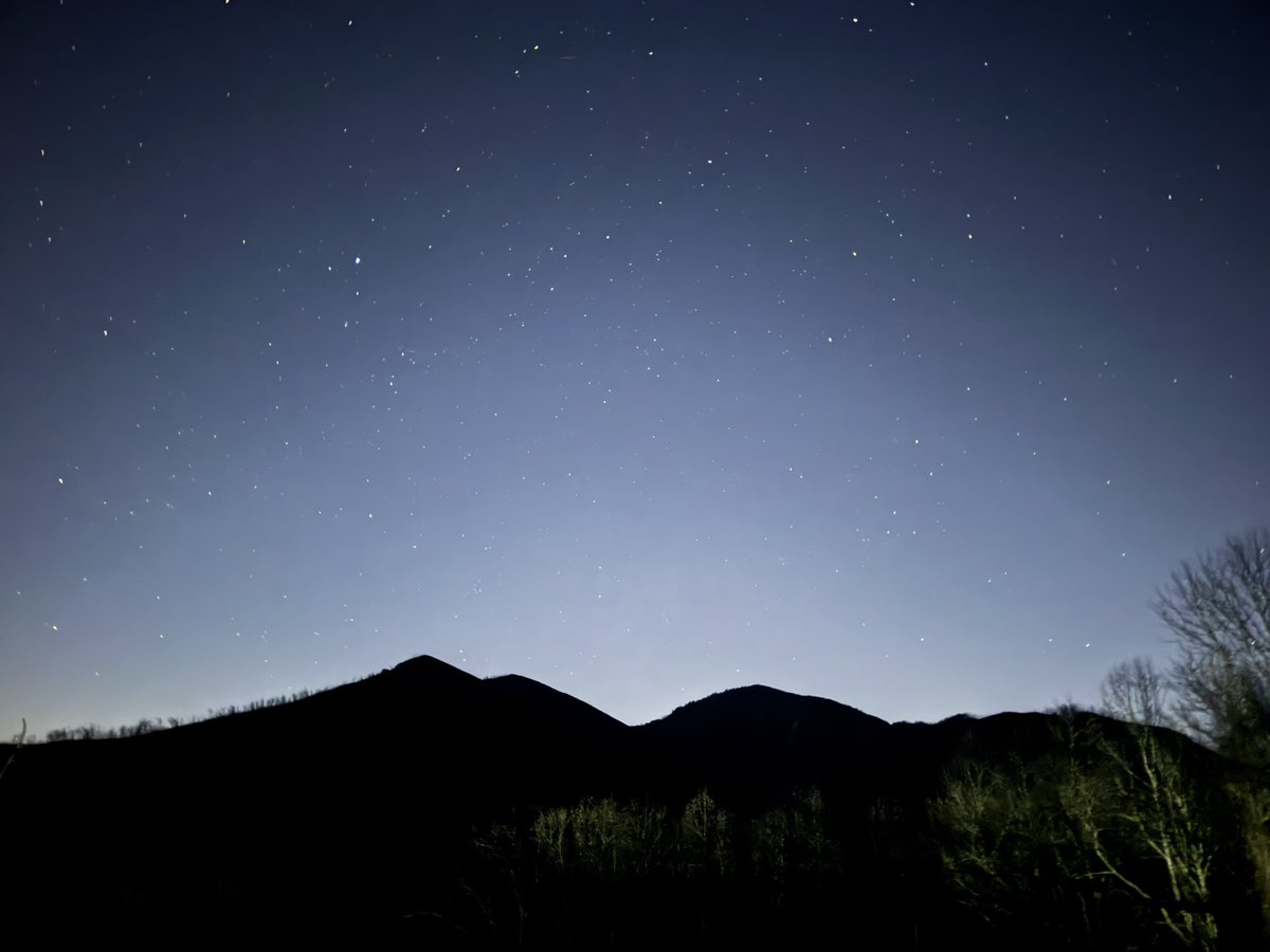 Tom Williams tweet media