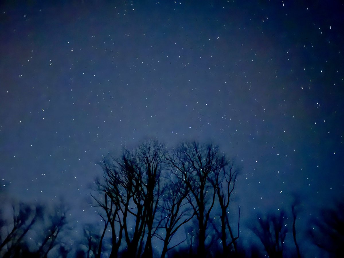 Tom Williams tweet media