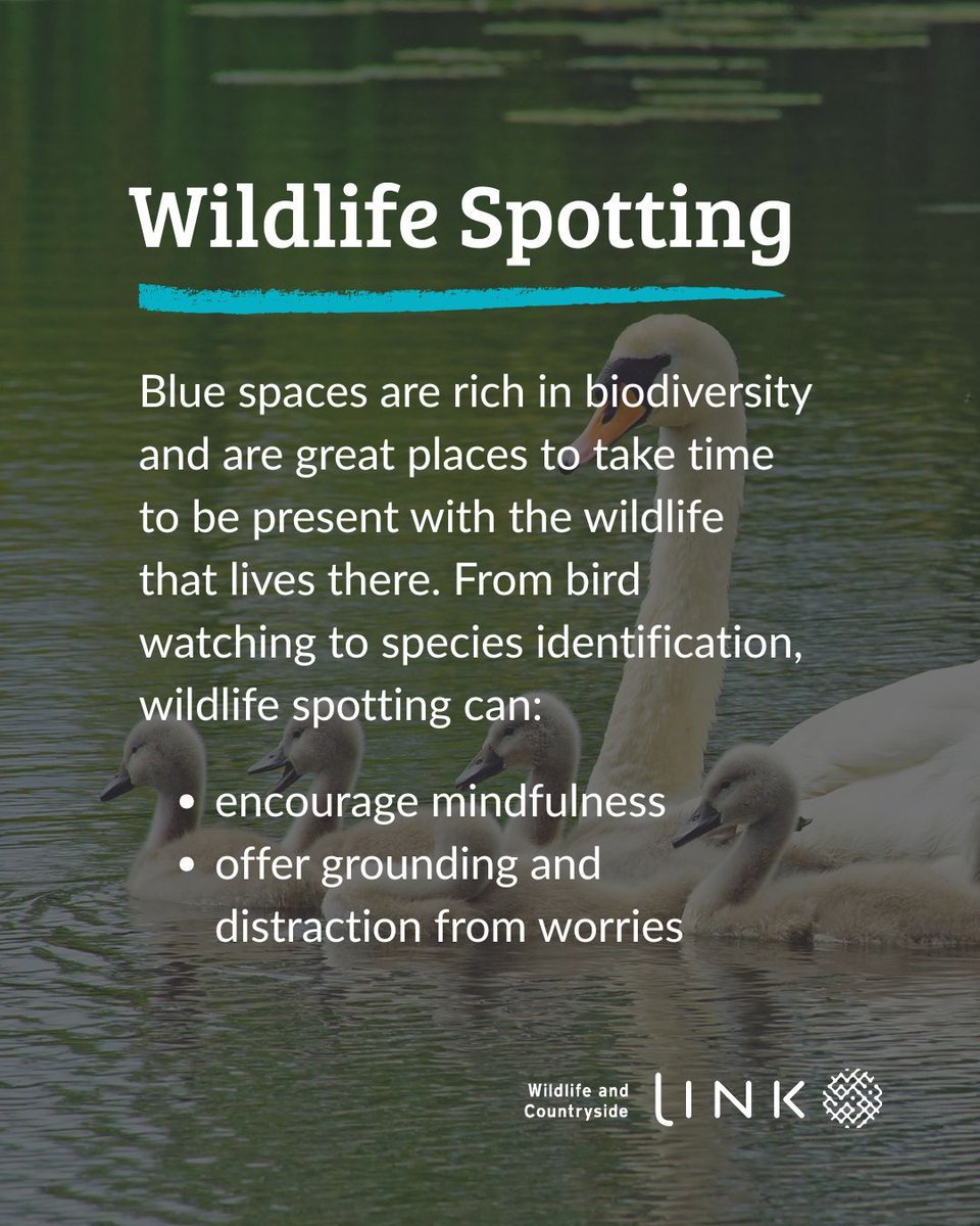 WCL_News's tweet photo. This Blue Monday, one thing is clear: connecting with blue spaces helps wellbeing and mental health. Not just today, but all year round. 

Blue spaces include both natural and built water environments, such as the sea, rivers, lakes, canals and marinas. When these places are clean, safe, well-maintained and accessible, they offer powerful benefits for people and communities.  

Whether you brave the cold waters for an outdoor swim, or prefer a mindful walk along a riverbank or coastal path, spending time with blue spaces is proven to: 

● Reduce stress 

● Reduce anxiety 

● Support grounding and restoration 

● Increase dopamine and serotonin, the body’s natural mood-lifting hormones 

So many of Link’s amazing members work every day to protect and enhance blue spaces, helping more people experience the wellbeing benefits and value of water. 

Let us know how blue spaces make you feel!