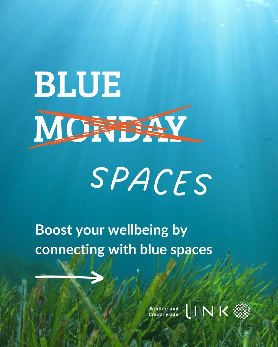 WCL_News's tweet photo. This Blue Monday, one thing is clear: connecting with blue spaces helps wellbeing and mental health. Not just today, but all year round. 

Blue spaces include both natural and built water environments, such as the sea, rivers, lakes, canals and marinas. When these places are clean, safe, well-maintained and accessible, they offer powerful benefits for people and communities.  

Whether you brave the cold waters for an outdoor swim, or prefer a mindful walk along a riverbank or coastal path, spending time with blue spaces is proven to: 

● Reduce stress 

● Reduce anxiety 

● Support grounding and restoration 

● Increase dopamine and serotonin, the body’s natural mood-lifting hormones 

So many of Link’s amazing members work every day to protect and enhance blue spaces, helping more people experience the wellbeing benefits and value of water. 

Let us know how blue spaces make you feel!