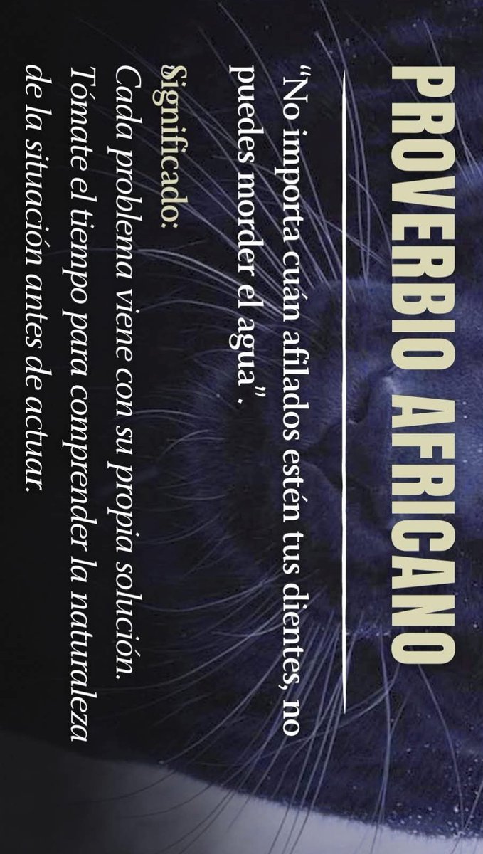 RenePoveda's tweet photo. https://t.co/7DXbPXuc1X