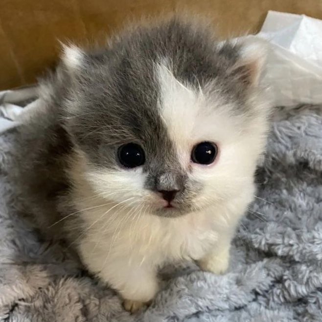 _mybabyrenjun's tweet image. คิดถึงเด้กคนนี้แล้ว🫳🏻