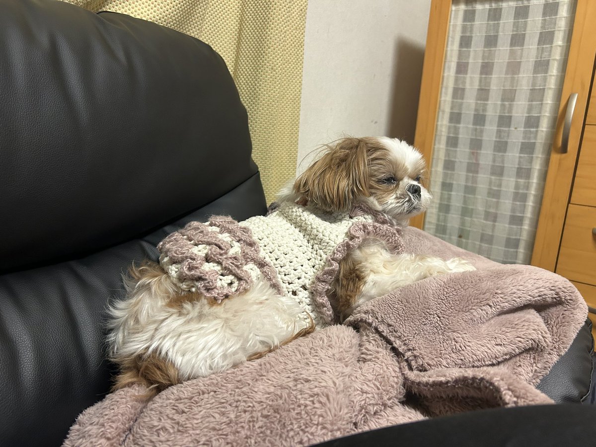 kitigai09155's tweet photo. ねむそう https://t.co/ORWKDLwUEO