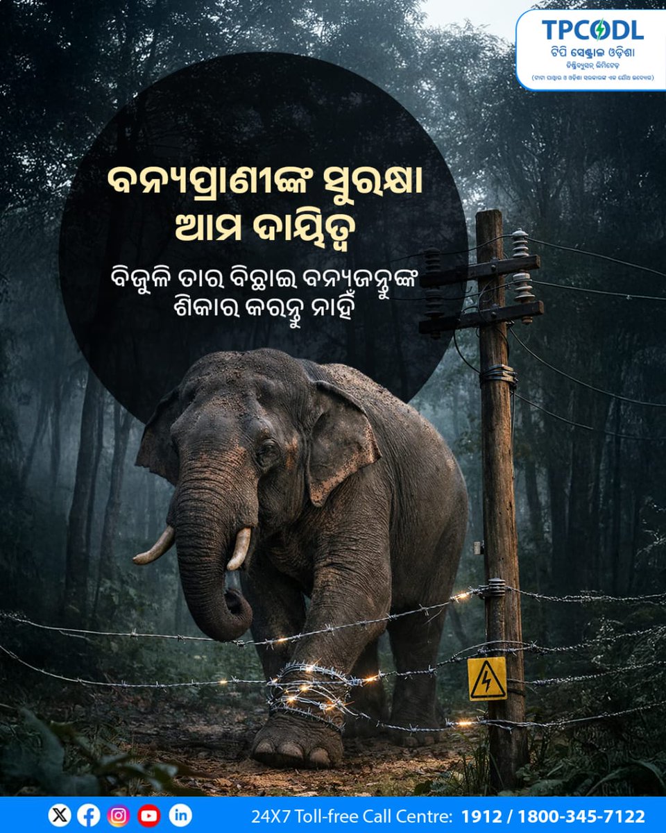 TPCentralOdisha's tweet photo. ବନ୍ୟପ୍ରାଣୀଙ୍କ ସୁରକ୍ଷା ଆମ ଦାୟିତ୍ୱ । ବିଜୁଳି ତାର ବିଛାଇ ବନ୍ୟପ୍ରାଣୀଙ୍କ ଶିକାର କରିବା ଏକ ଦଣ୍ଡନୀୟ ଅପରାଧ । ଏଥିରୁ ନିବୃତ୍ତ ରୁହନ୍ତୁ । ଏଭଳି ହେବାର ଦେଖିଲେ ତୁରନ୍ତ ନିକଟସ୍ଥ ବିଦ୍ୟୁତ୍ କାର୍ଯ୍ୟାଳୟ କିମ୍ବା ବନ ବିଭାଗରେ ଜଣାନ୍ତୁ ।
#TPCODL #ProtectWildlife #StopAnimalPoaching #WildlifeProtection #ElectricalSafety