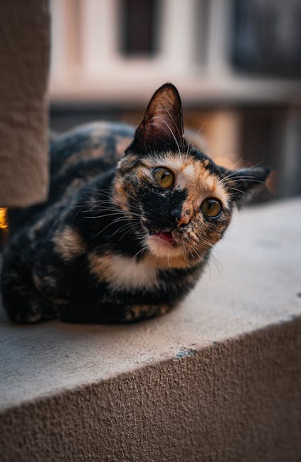 Michael Howe tweet media