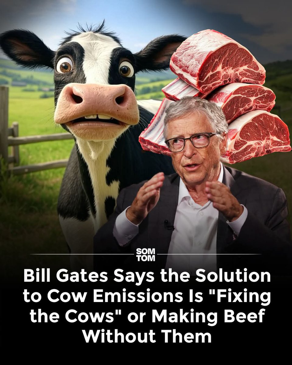 Dillon Dualy tweet media