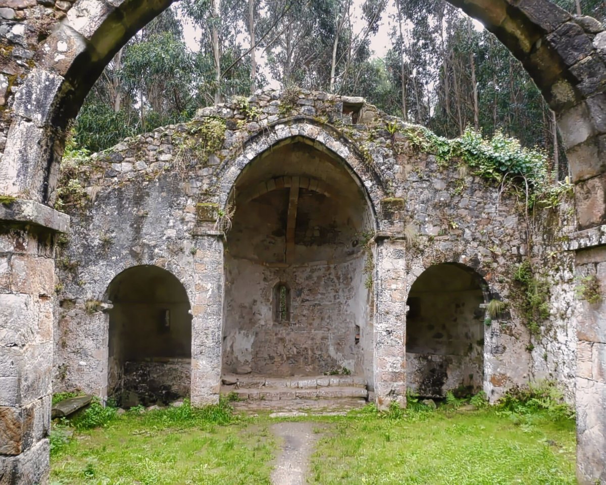RomanicoEspana's tweet image. Las ruinas iglesia de Santa María de Tina (Ribadedeva - Asturias), perdida (que no olvidada) en medio de la espesura del bosque litoral.