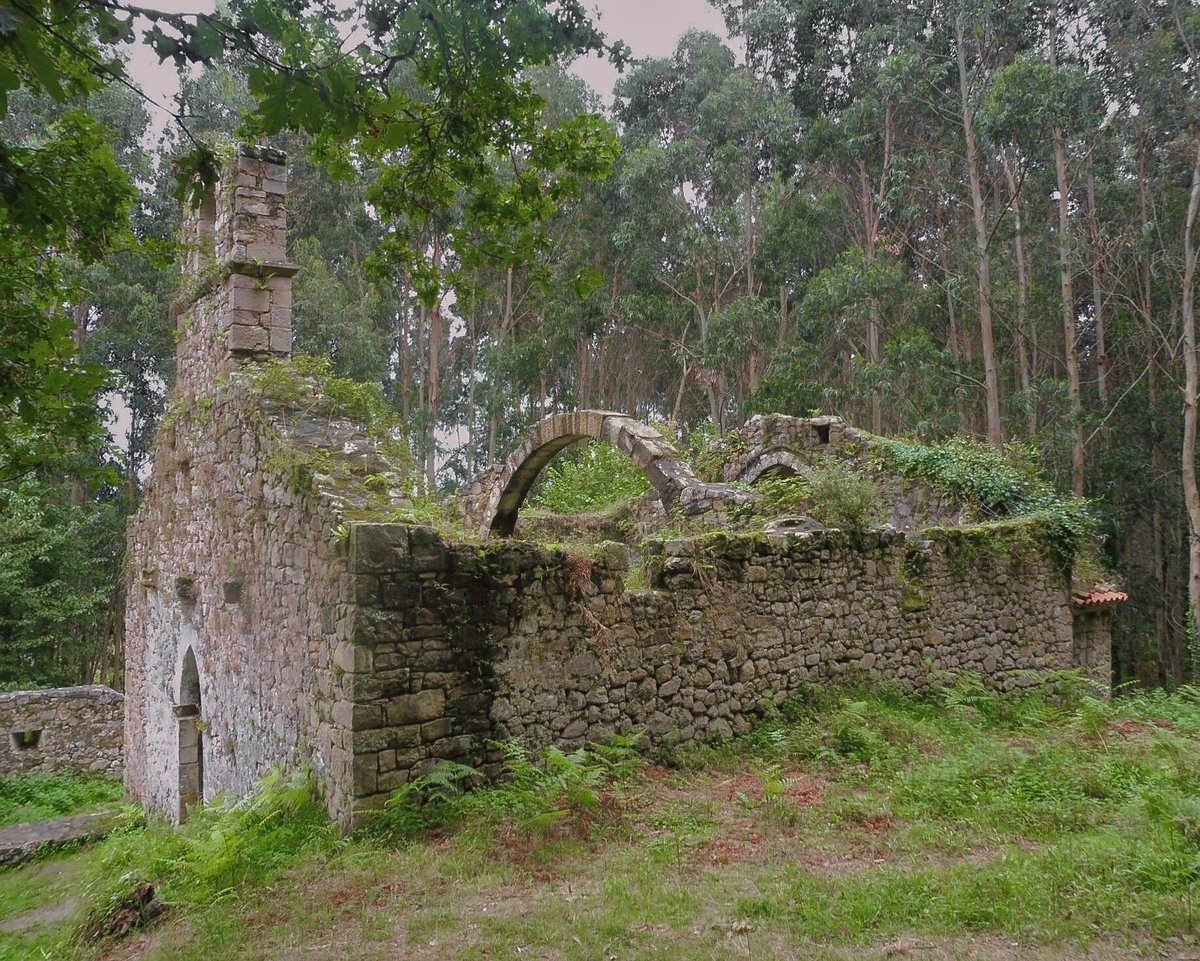RomanicoEspana's tweet image. Las ruinas iglesia de Santa María de Tina (Ribadedeva - Asturias), perdida (que no olvidada) en medio de la espesura del bosque litoral.