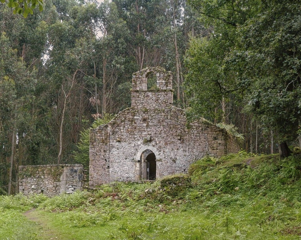 RomanicoEspana's tweet image. Las ruinas iglesia de Santa María de Tina (Ribadedeva - Asturias), perdida (que no olvidada) en medio de la espesura del bosque litoral.