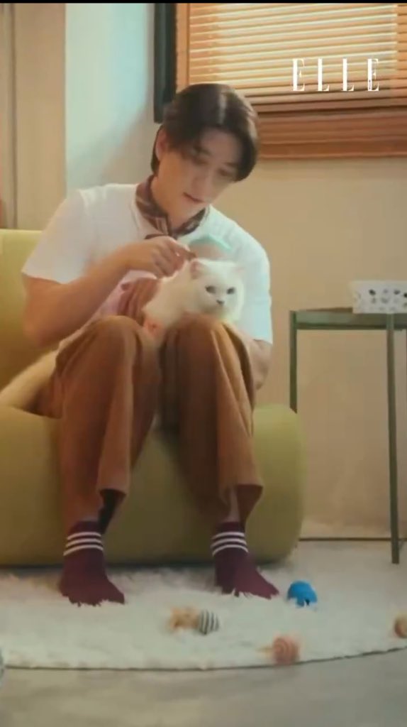 deliaomah's tweet image. 🐈‍⬛:honestly,khaotung’s character in this series is already like a cat so in every scene khaotung appears in,there’s this cat-like vibe every movement,every speaking rhythm,every expression everything khaotung does is totally cat-like.

/he was born to play lynx/

#เฟิร์สข้าวตัง♡