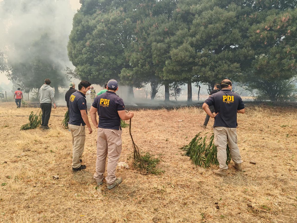 ZDefensa's tweet image. 🚨 @PDI_CHILE mantiene un despliegue de unidades especializadas y equipos periciales en #Ñuble y #Biobío. En #Bulnes (sector Libuy), detectives BH Chillán y peritos LACRIM investigan el origen del siniestro que ha dejado personas fallecidas 
#IncendiosForestales #PDI #Emergencia