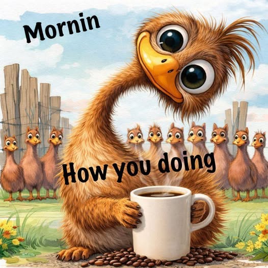 enjoy your morning coffee