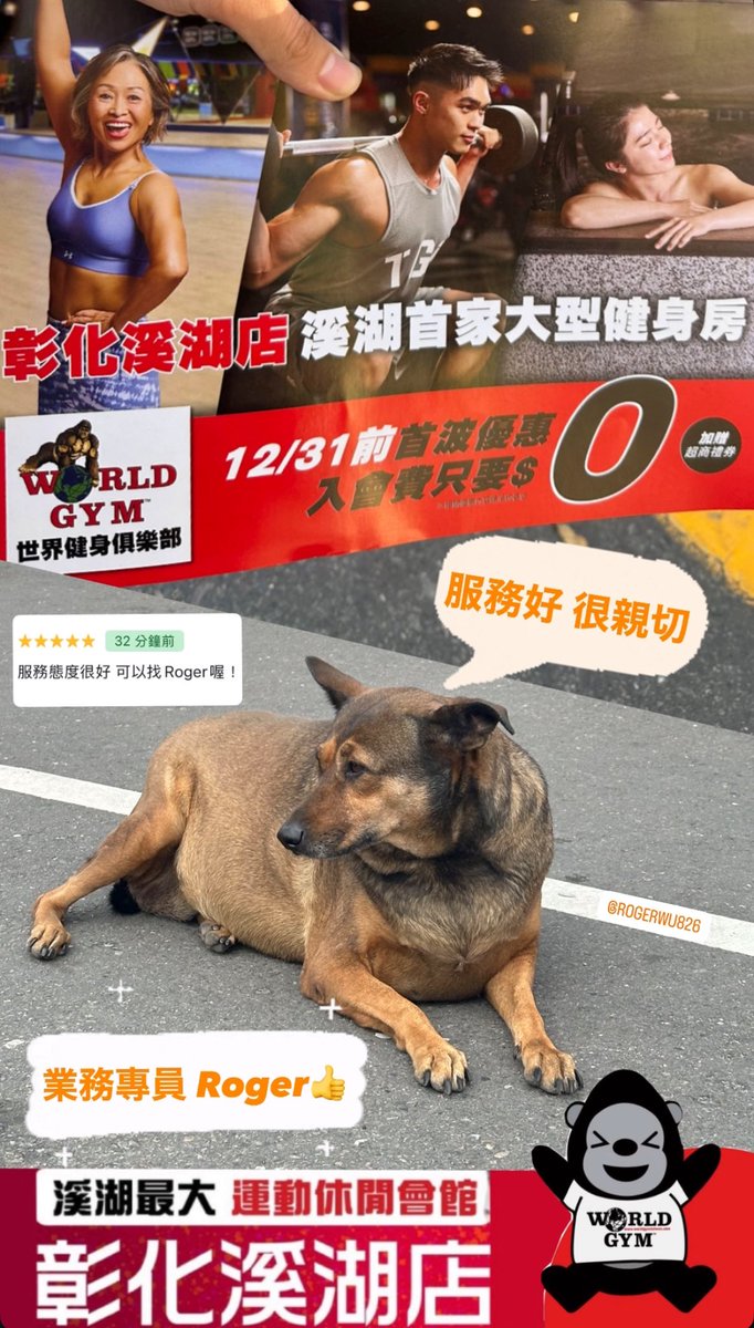 傳奇小恐龍🦖 tweet media