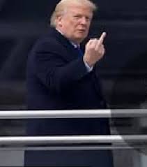 Damaan4u33's tweet image. Donald Trump is president in name only. He's a disgrace to the highest office in the land. Never has America been so poorly represented. He's the most vile, immature, crude, stupid,  pedophile president in American history!🖕
