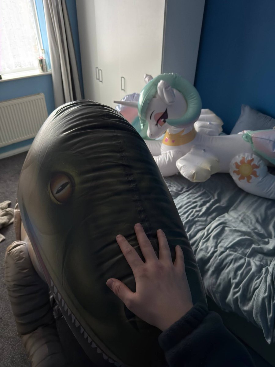 Spryte The Dragon Carer tweet media