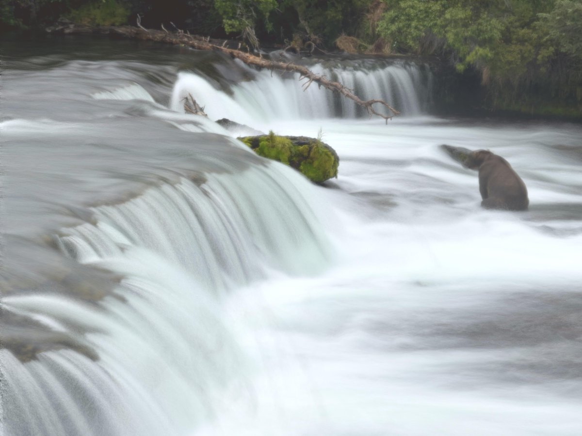 HomieWallpapers's tweet photo. Katmai National Park. Spectre on iPhone 16 Pro. #Wallpapers #Wallpaper #Wallpaper4k #Background #Art https://t.co/ogmiuZ0zi9