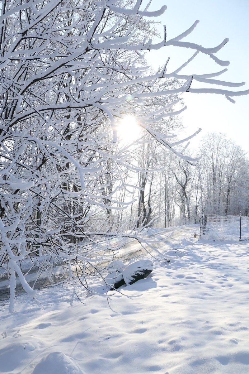 OTaronenko's tweet image. 