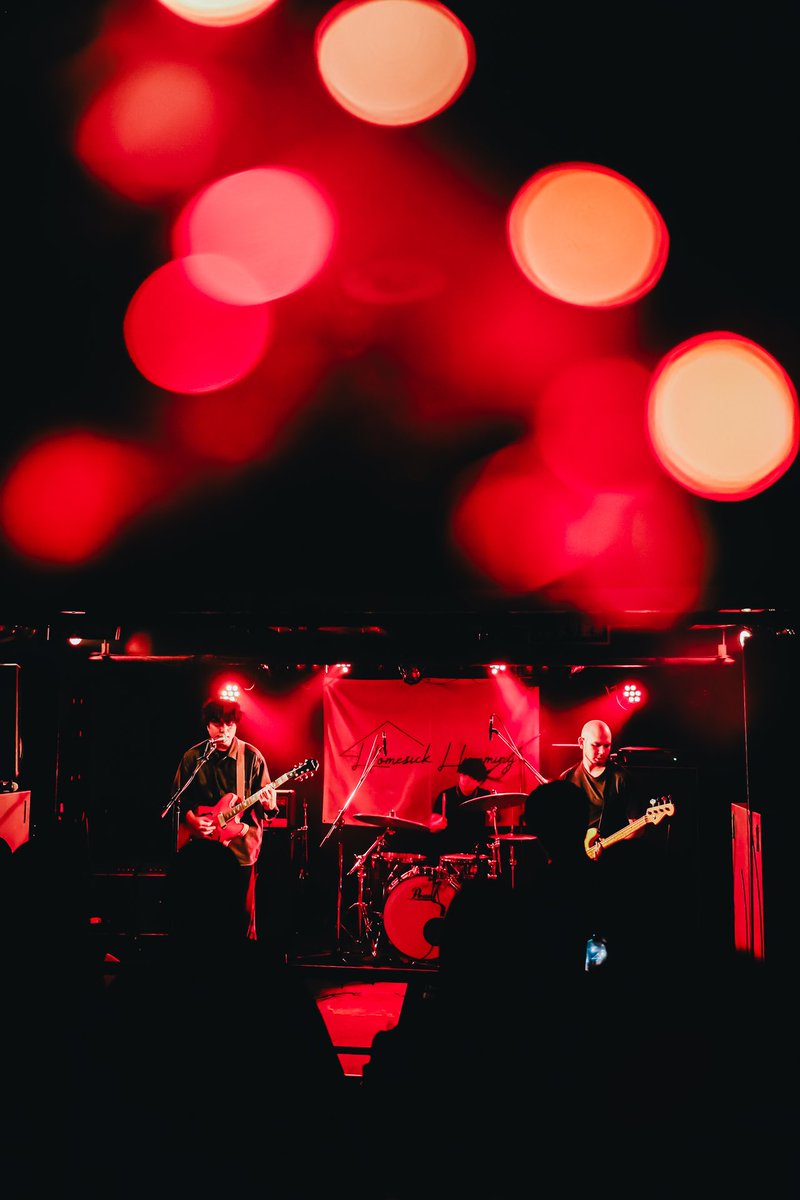 東京パピーズ TOKYO PUPPIES tweet media