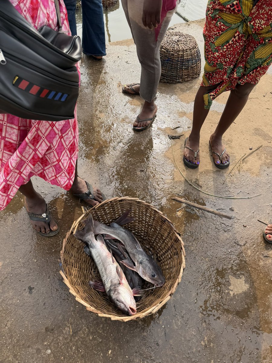 I’m eating Good today🐟🫣