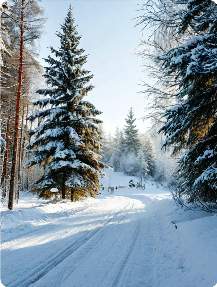 OTaronenko's tweet image. 