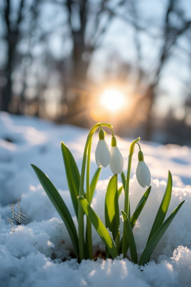 OTaronenko's tweet image. 