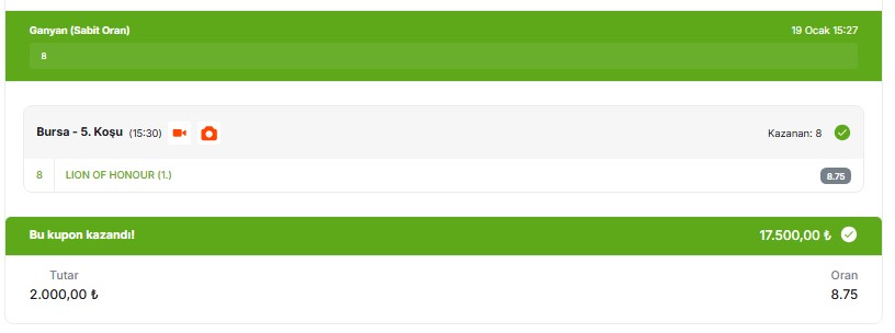 LION OF HONOUR 🥰🥰