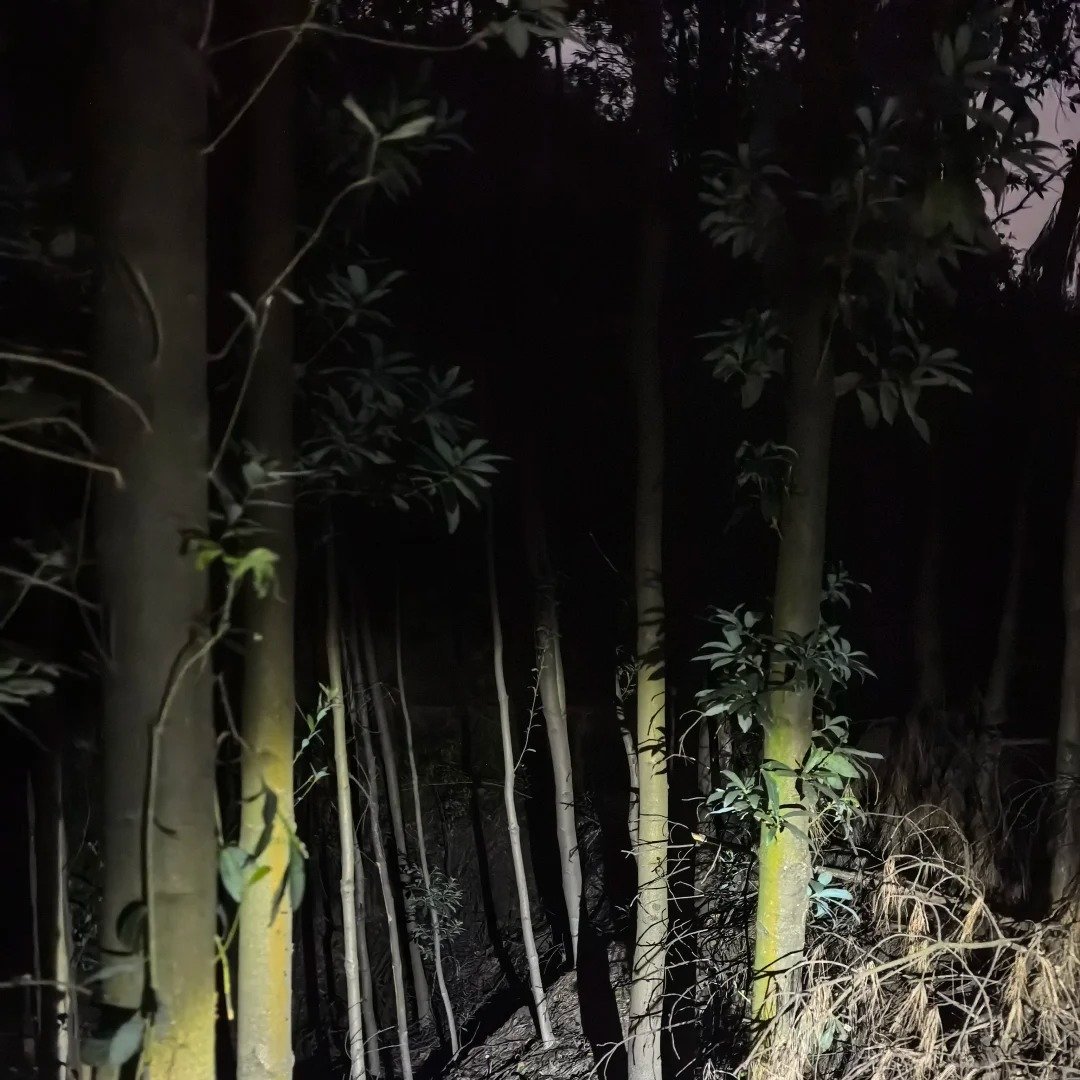 Runfurthermore's tweet image. 昼から夜まで山を登るのがどんな感じか体験しました