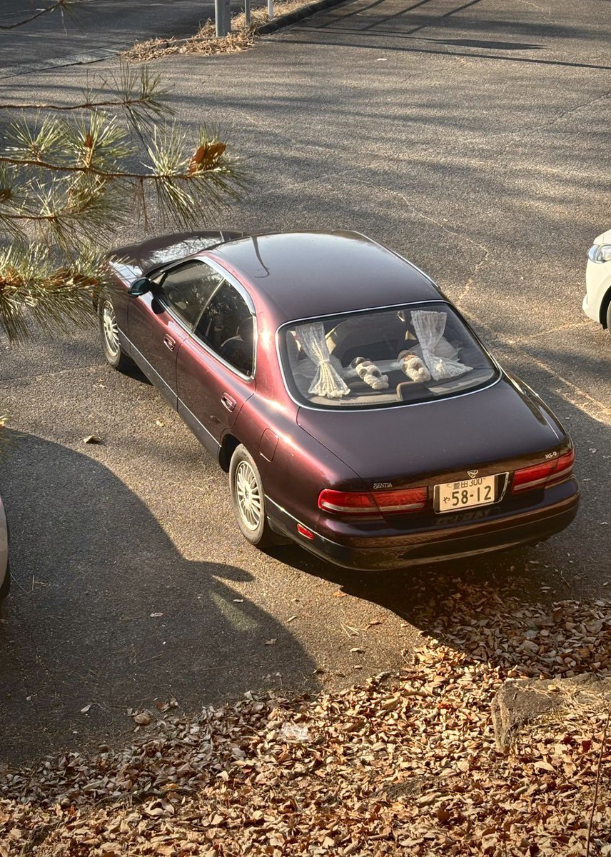 豊田市 tweet media