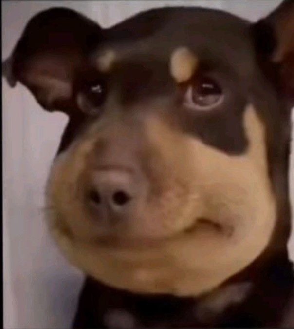 * ‍ ‍ 𝒔𝑜𝑙̲𝑎̲𝑟̲𝑖𝑠 ‍ (@madesoulworld) on Twitter photo 